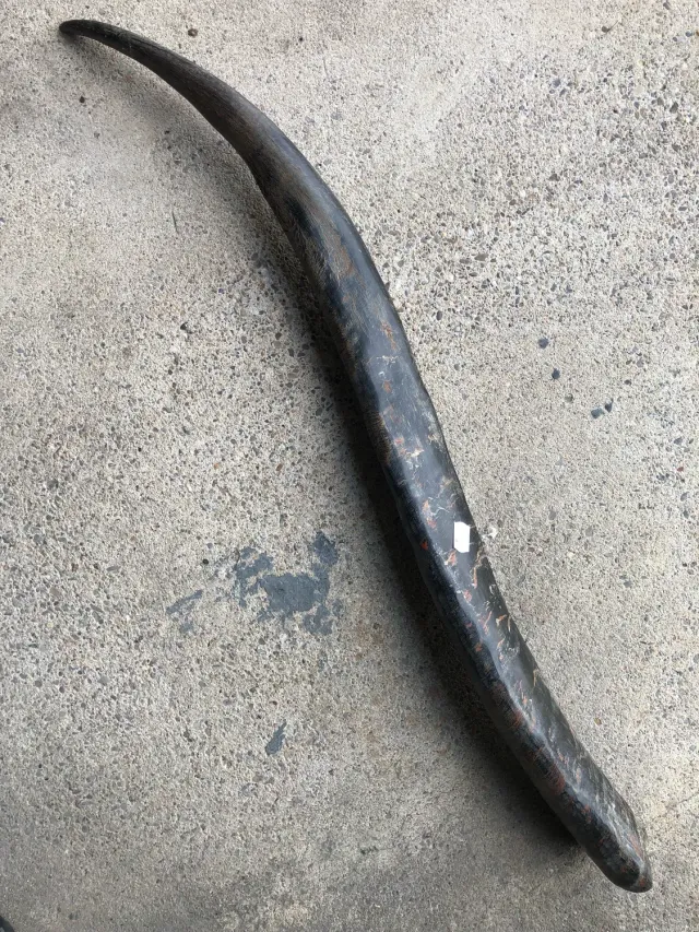 Dr. Dittmar Buffelhorn 90-99cm opolerat hornämne