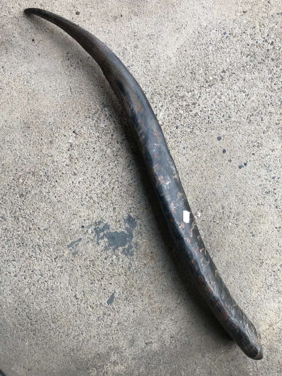 Dr. Dittmar Buffelhorn 90-99cm opolerat hornämne