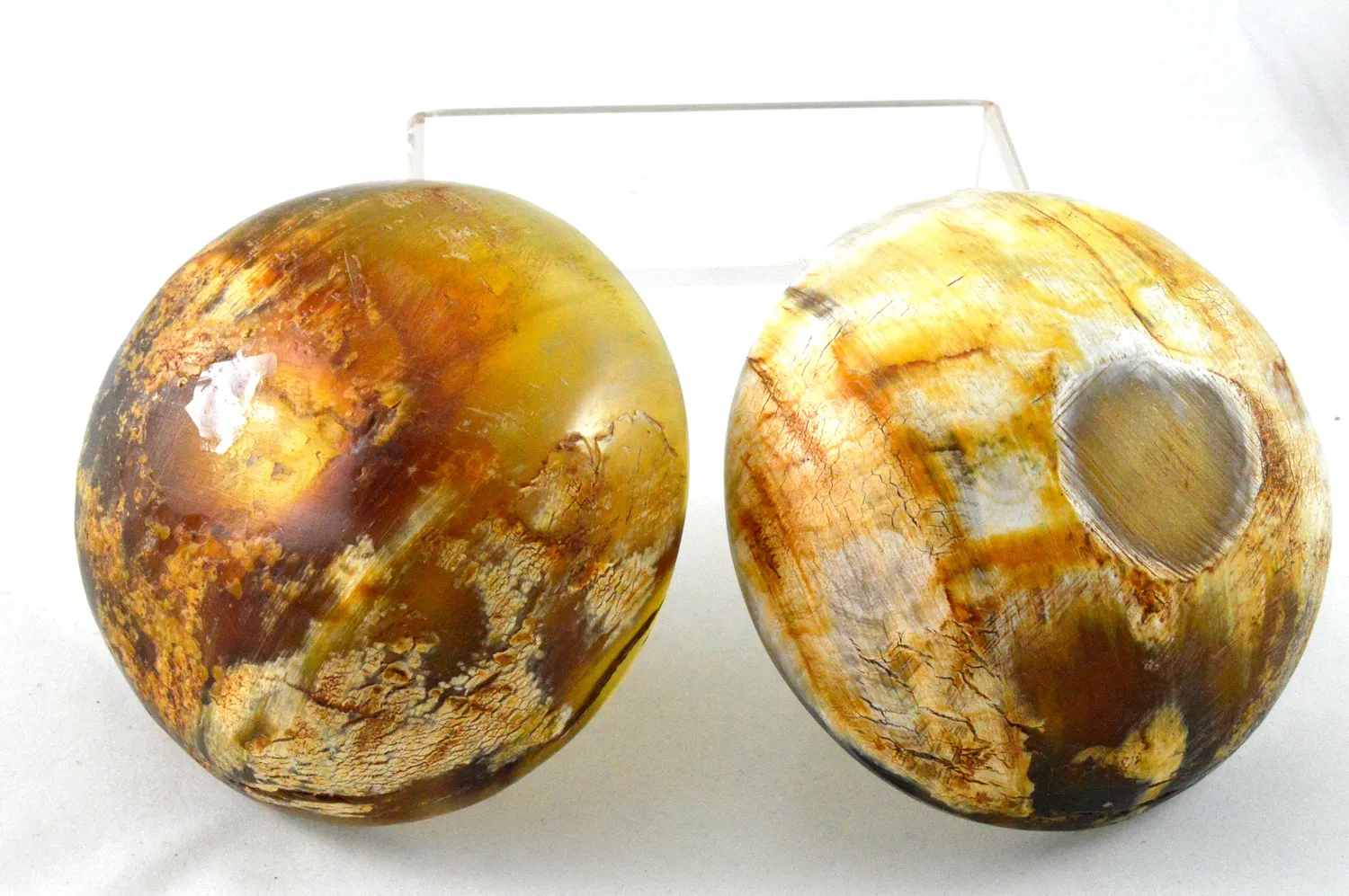 Dr. Dittmar rakskål kohorn 10 cm tung