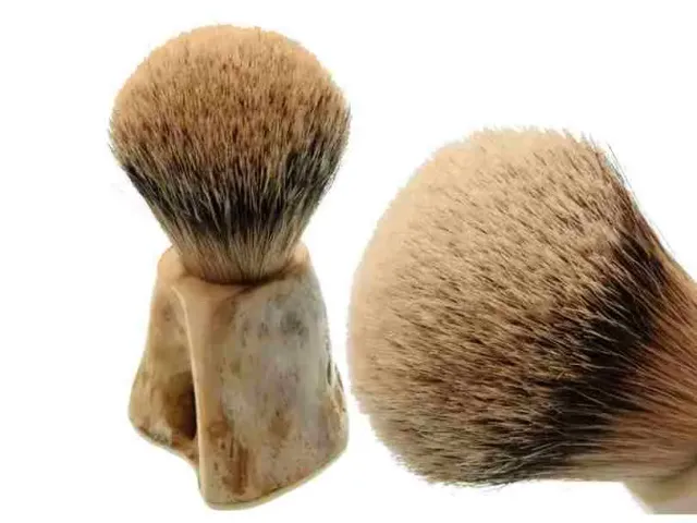 Dr Dittmar Rakborste Ben 26 mm Silvertip