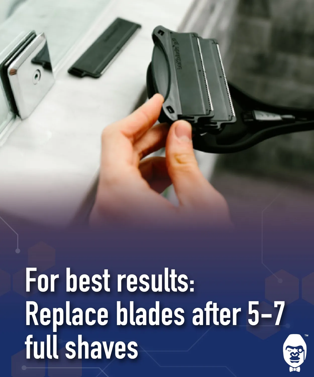 BaKblade DryGlide rakblad 12-pack titan våt torr