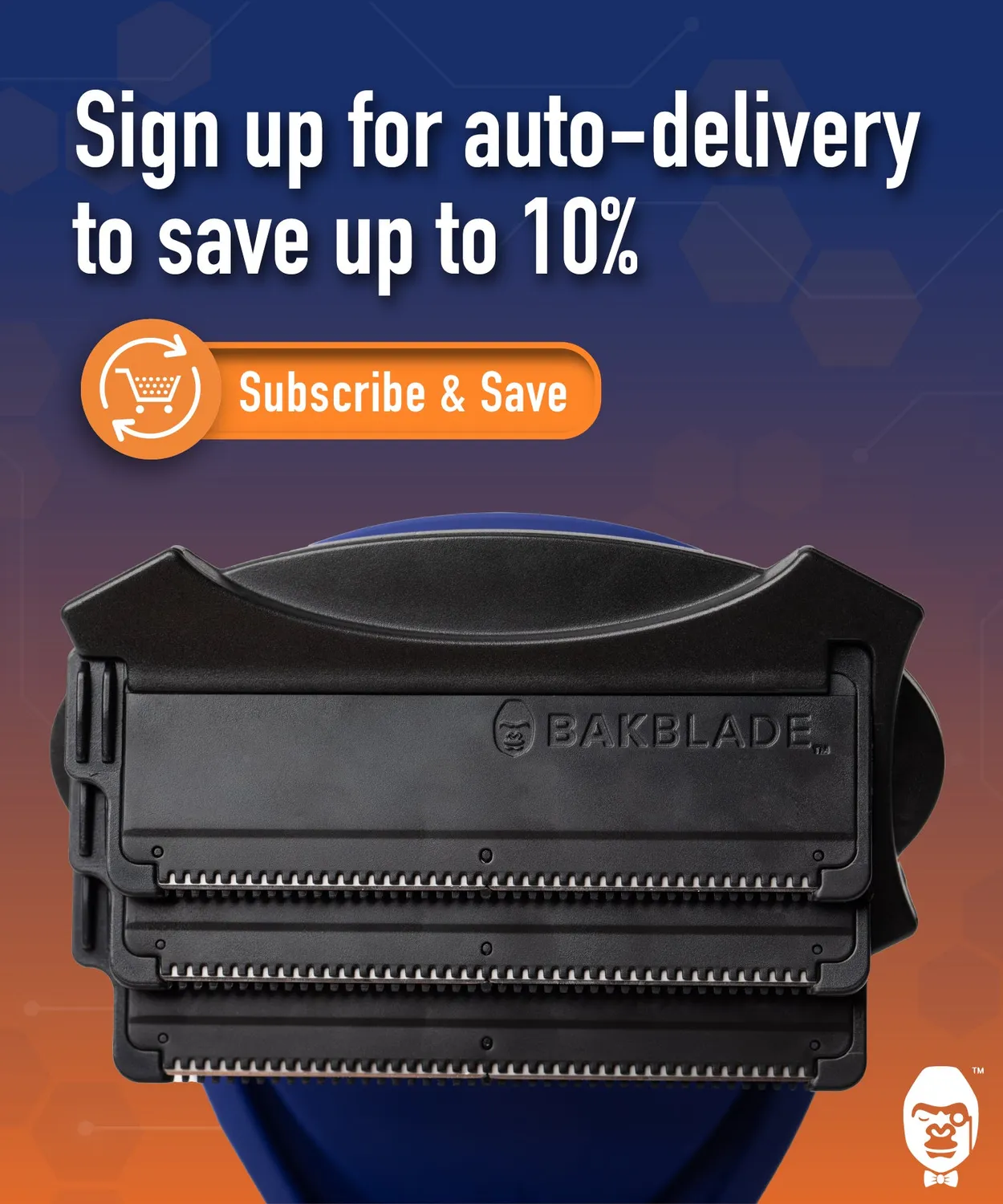 BaKblade DryGlide rakblad 12-pack titan våt torr