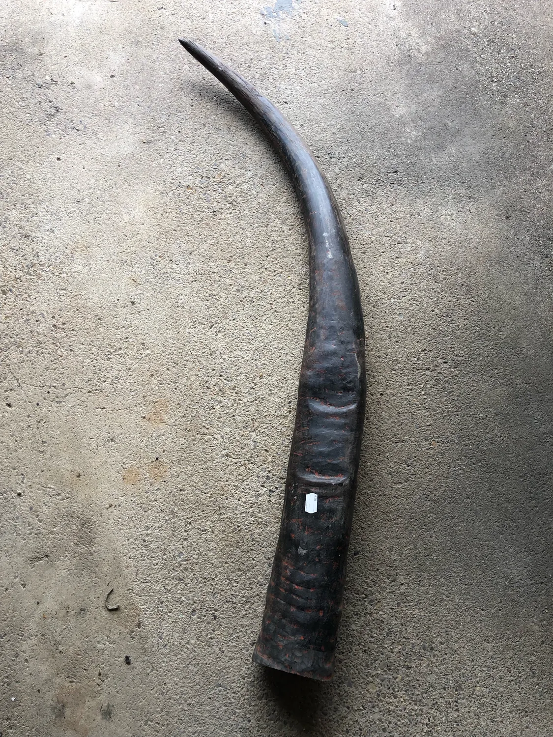 Dr. Dittmar vattenbuffelhorn opolerat 120 cm