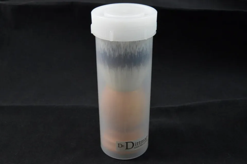 Dr. Dittmar resefodral rakborste plast
