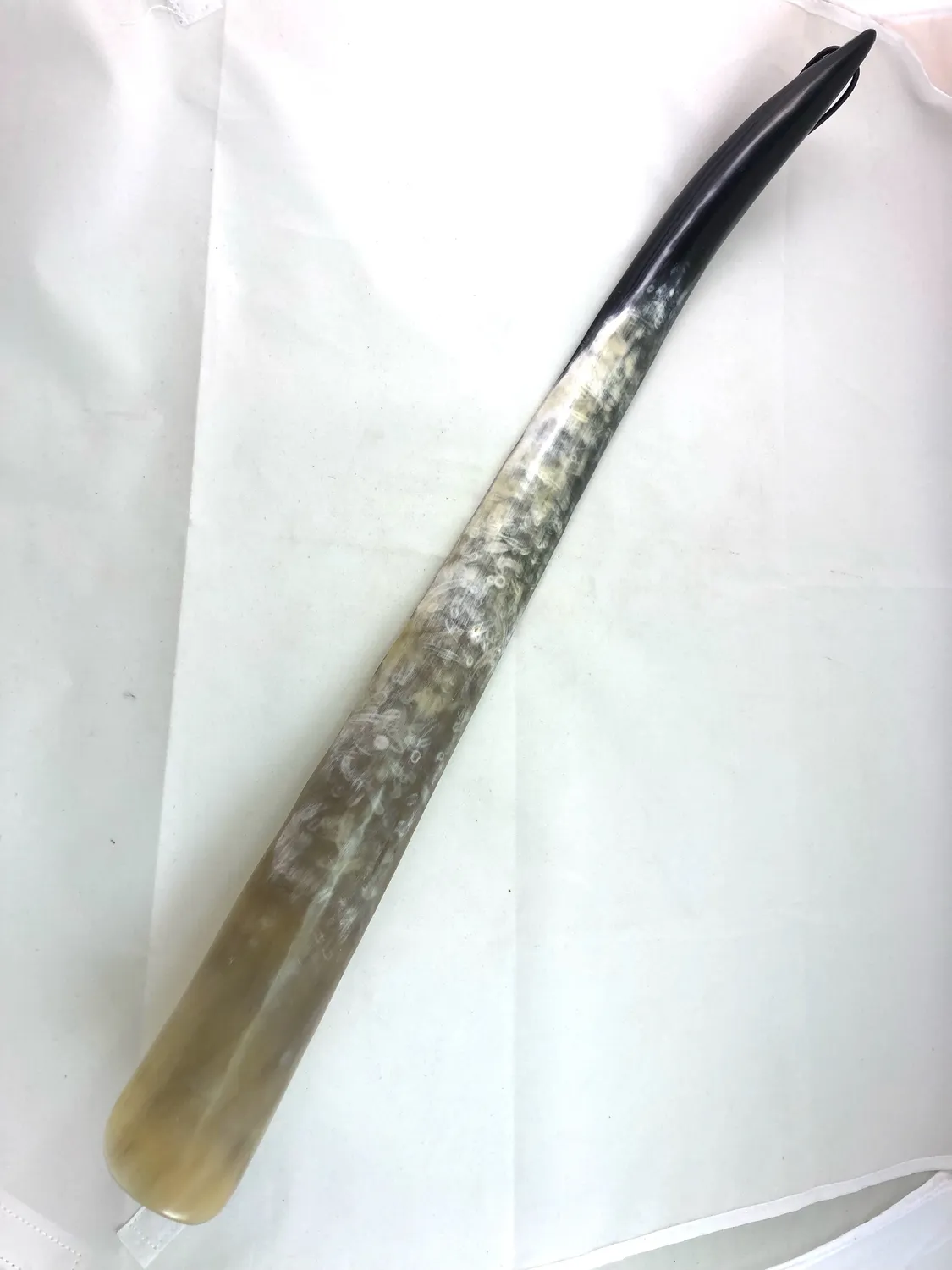 Dr. Dittmar skohorn zebuhorn 60 cm långt