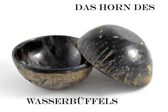Dr. Dittmar rakskål buffelhorn 100 mm tung