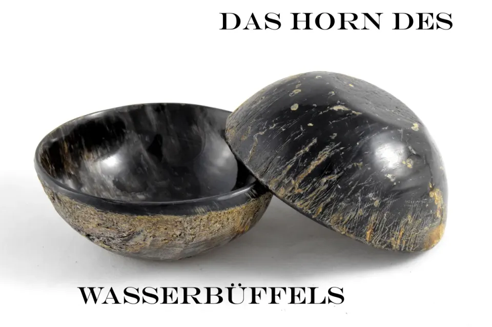 Dr. Dittmar rakskål buffelhorn 100 mm tung